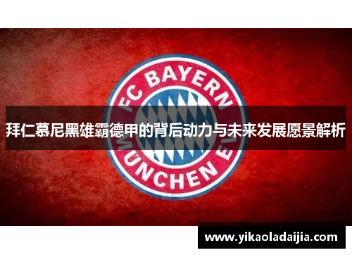 拜仁慕尼黑雄霸德甲的背后动力与未来发展愿景解析
