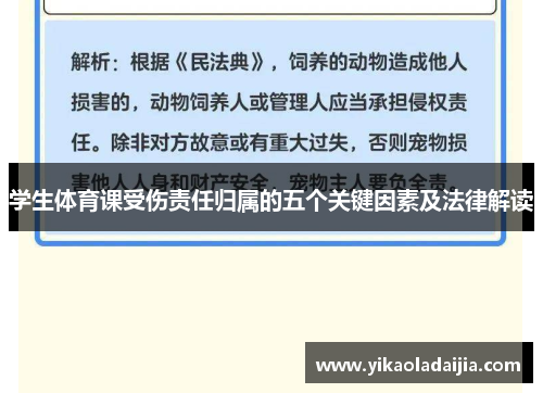 学生体育课受伤责任归属的五个关键因素及法律解读